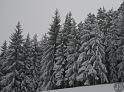 Kirchleuser Platte (2)